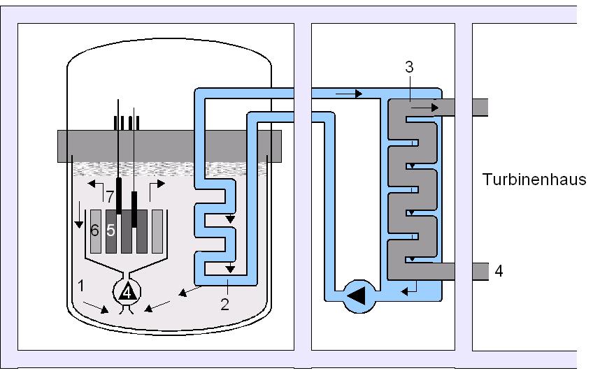Beim schnellen Brüter wird Natrium (1) als Kühlmittel verwendet, was schnelle Neutronenbewegungen gestattet und zudem die entstehende Wärme besser abführen kann als Wasser. Natrium wird allerdings infolge des Neutronenbeschusses radioaktiv, weshalb die Wärme über mehrere Zwischenwärmetauscher (2) auf sekundäre Natriumkreisläufe und dann erst über den Dampferzeuger (3) in den Wasserkreislauf (4) übertragen wird. Der Wasserdampf treibt schließlich die Turbinen an. Der Reaktor besteht erzeugt durch Kernspaltung (5) die Hitze für den späteren Turbinenantrieb und zudem durch den Brutvorgang (6) neues spaltbares Material. Die Leistung wird mithilfe von Steuerstäben (7) geregelt.